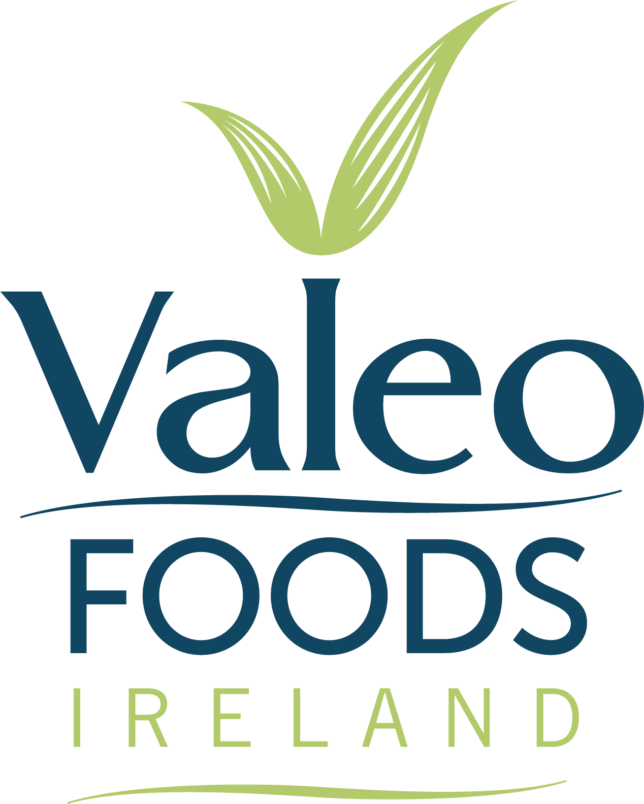 Valeo Foods logo